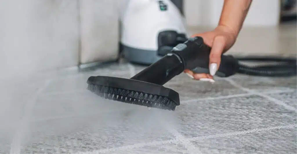 squeaky clean carpet steam cleaning