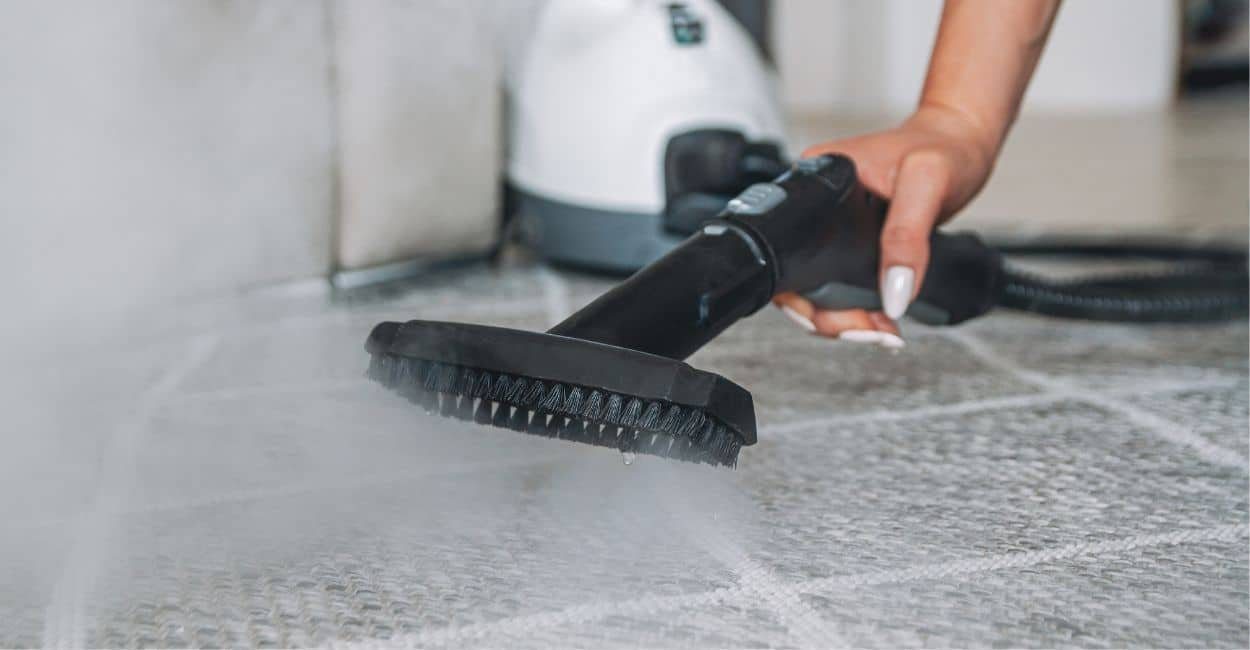 squeaky clean carpet steam cleaning