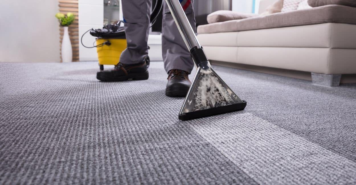 professional carpet cleaning costs