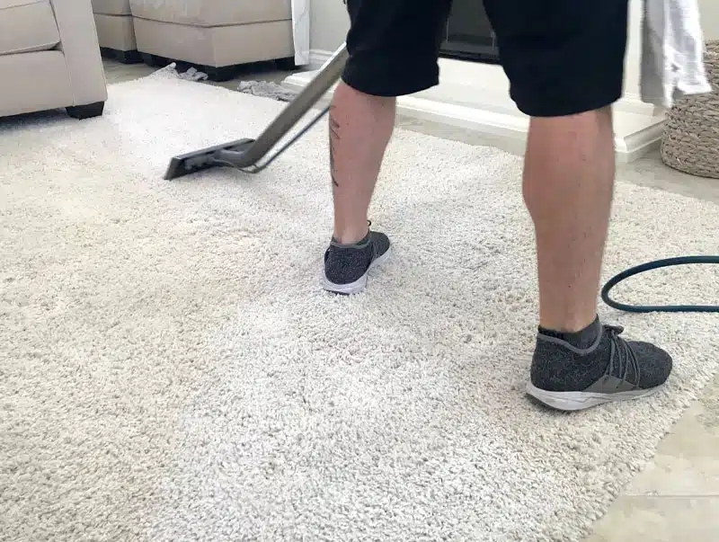 Benefits of professional residential carpet cleaning in Melbourne