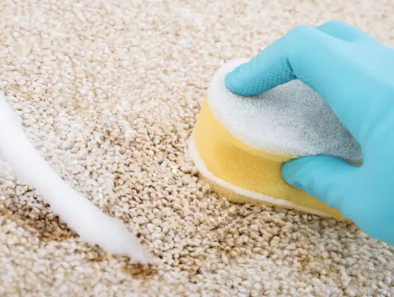 Professional Carpet Stain Removal in Melbourne