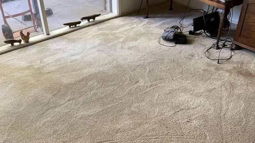 Carpet Cleaning Prices List