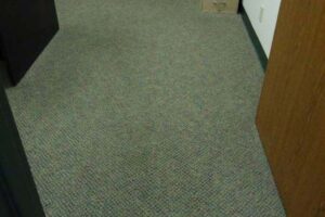 clean carpet after cleaning