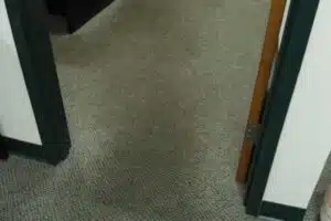before clean the carpet