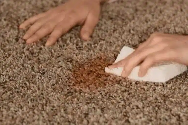 Carpet Stain Removal Melbourne Service