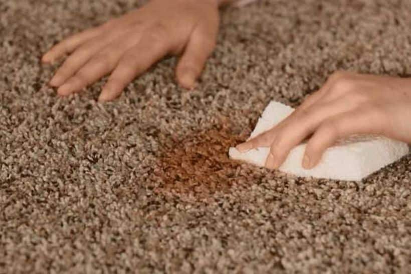 carpet stain1