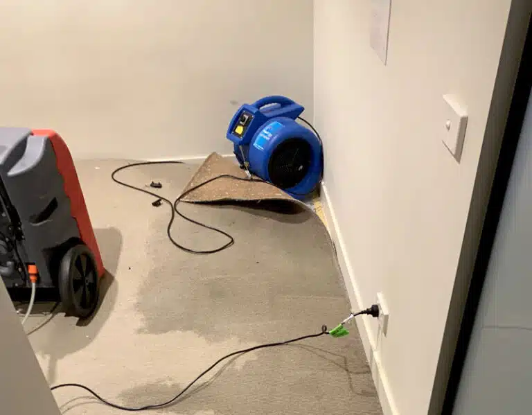 Wet Carpet Drying Services and Carpet Blower Hire Melbourne