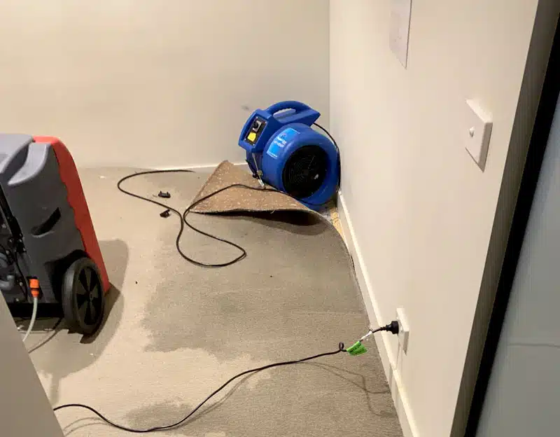 Wet Carpet Drying Melbourne Service