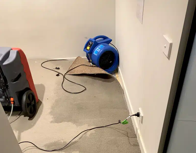 Drying wet carpet in {city}