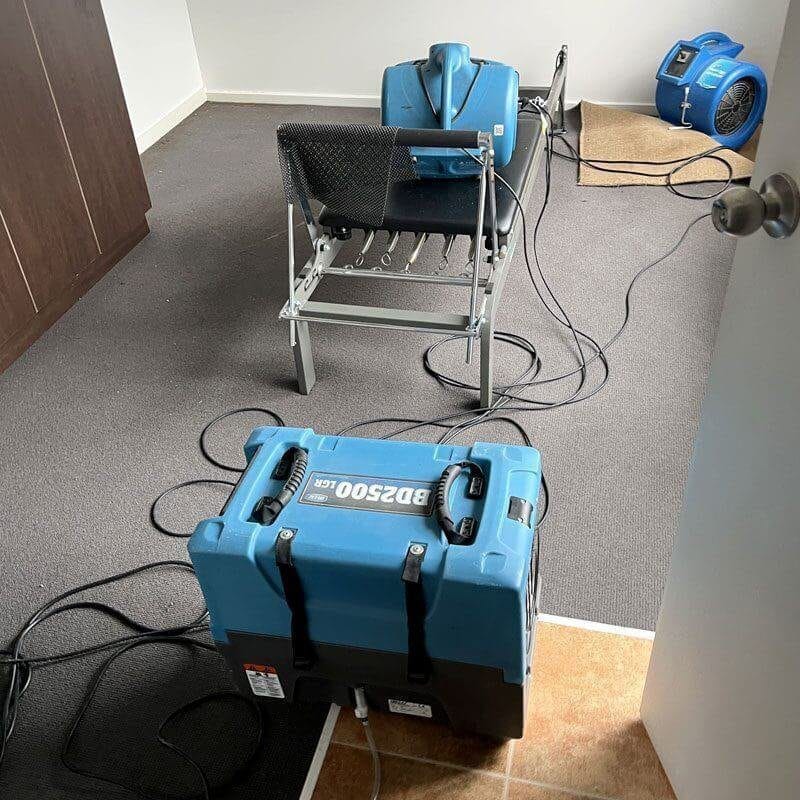 Call Now For Dry Wet Carpet Fast Squeaky Clean Team