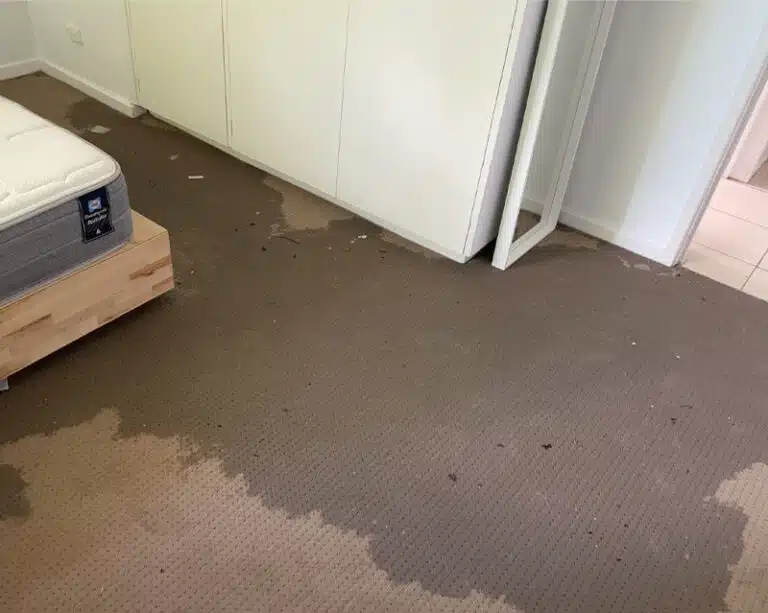 Water Damage Carpet