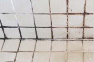 Dirty Tile & grout Squeaky Cleaning