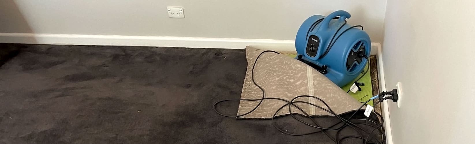 Six Ways to Dry Carpet to Prevent Irreparable Damage