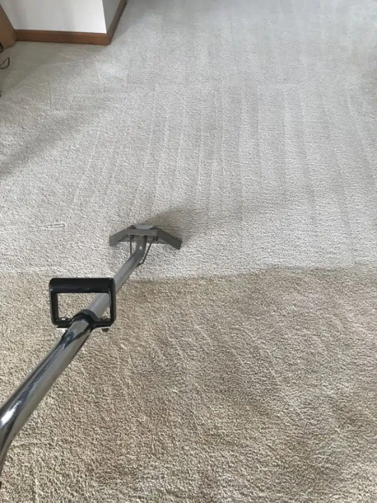 Best Carpet Steam Cleaning Melbourne