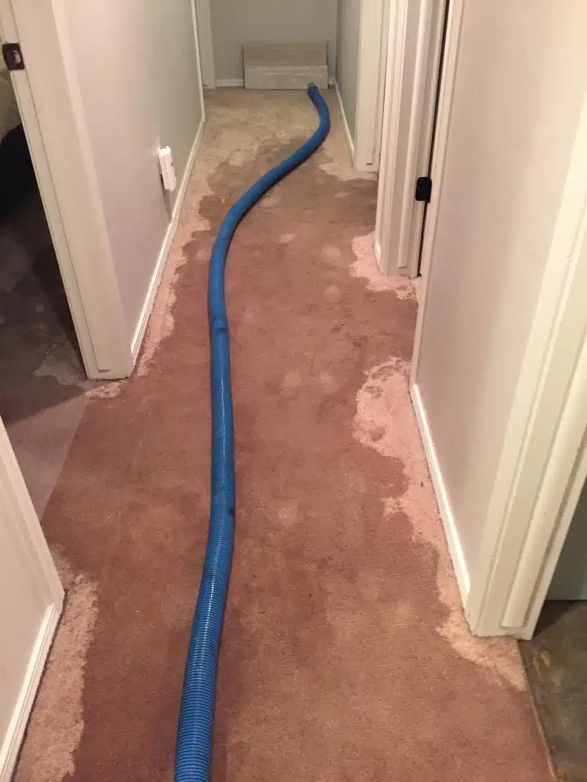 Emergency Wet Carpet Drying Melbourne Service