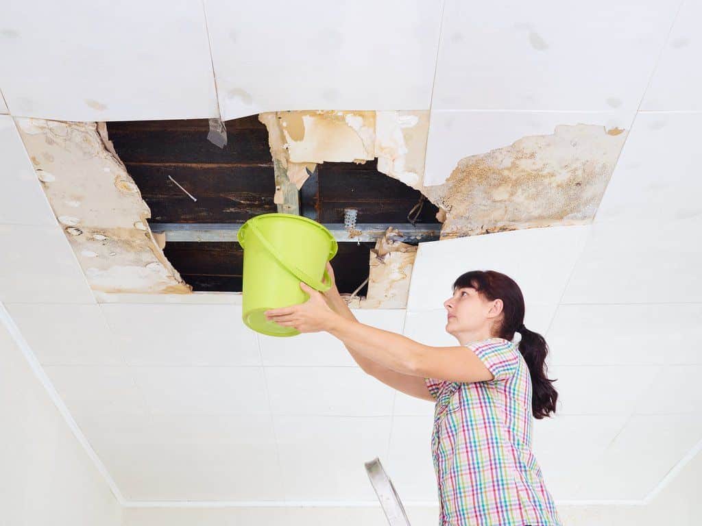 Revive Your Home: Expert Water Damage Restoration in Melbourne
