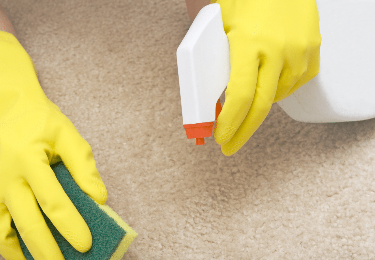 1220x900 DIY Carpet Cleaning