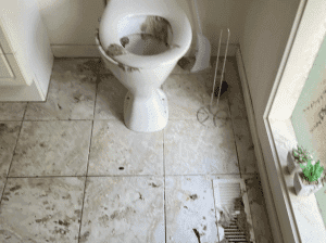 Toilet backflow blog post header