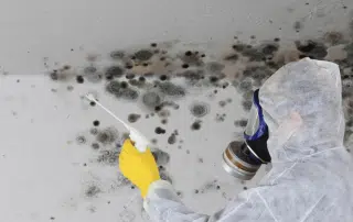 Removal mould damage from flood 1624x1224px
