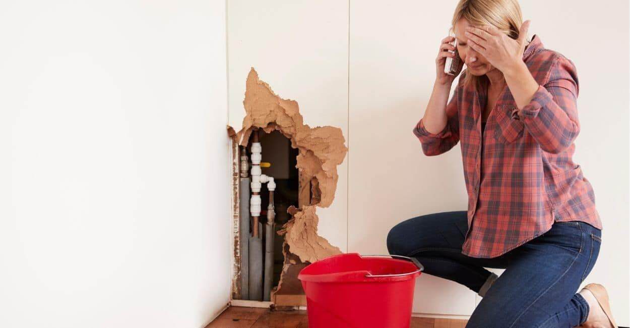 structural dangers of ignoring water damage