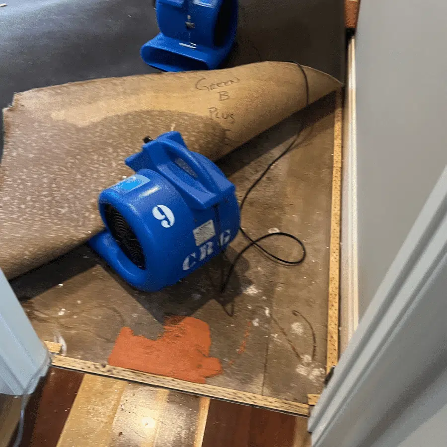 Air movers drying wet carpet and subfloor in {city}