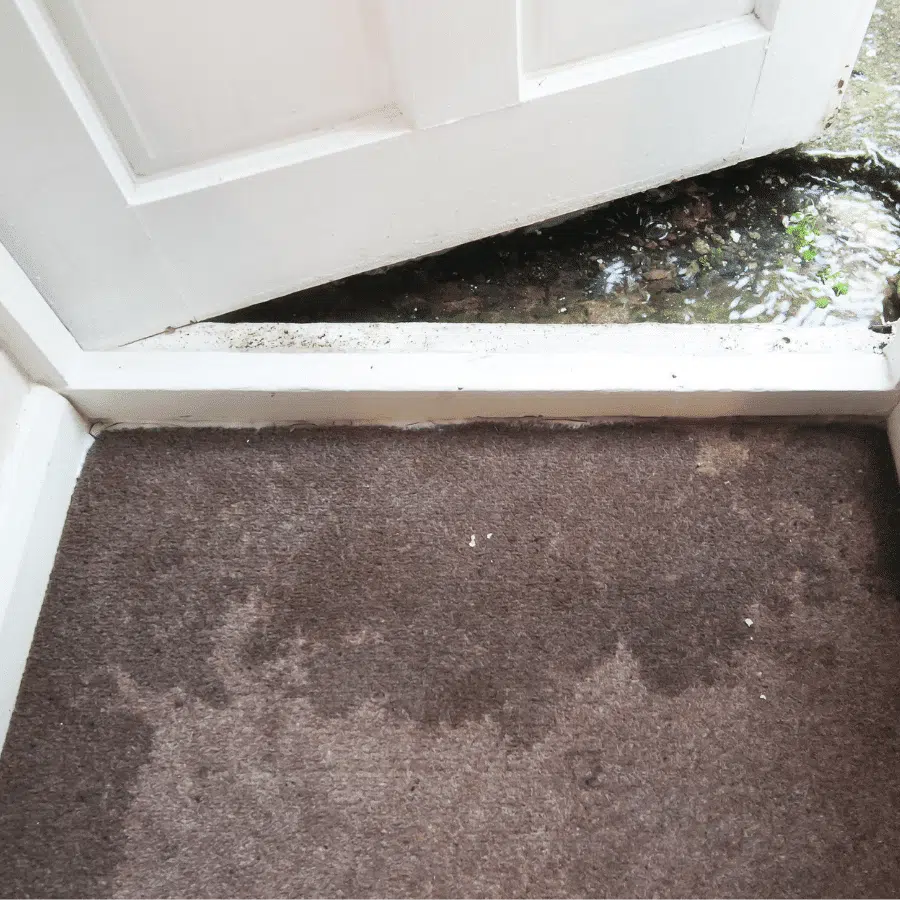 Storm water saturated carpet door way in {city}