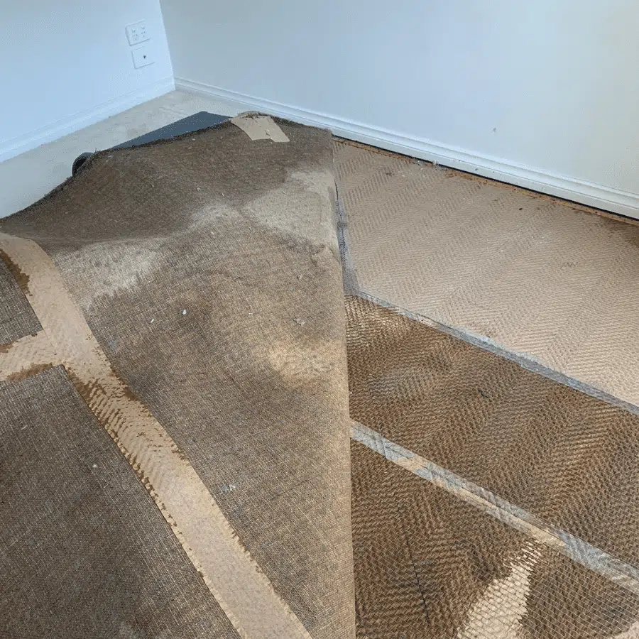 Water damaged carpet from bathroom in {city}