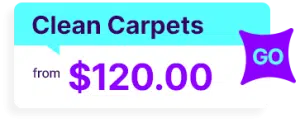 clean carpet