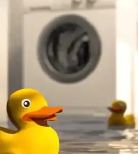 washing machine floating duck