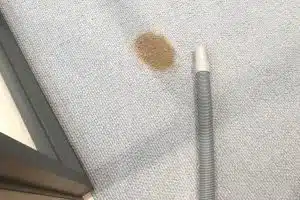 before carpet cleaning squeaky clean team