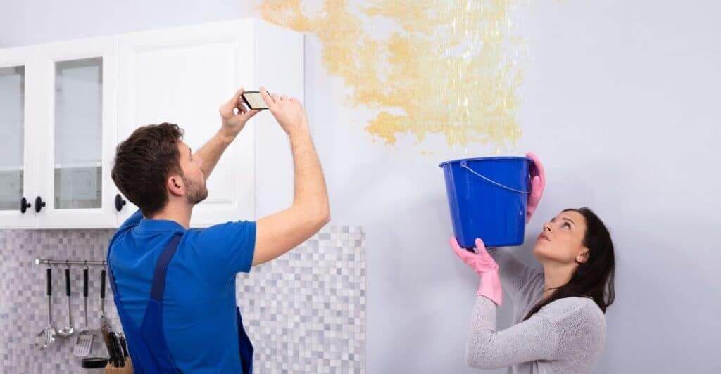 prevent mould growth after water damage