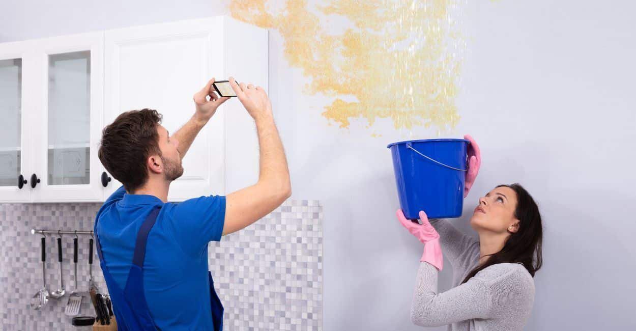 prevent mould growth after water damage