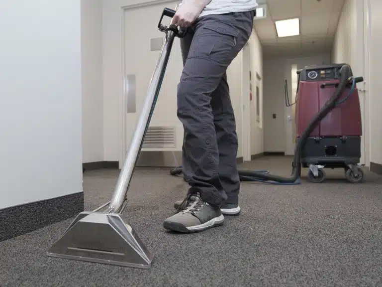 professional carpet cleaning altona north