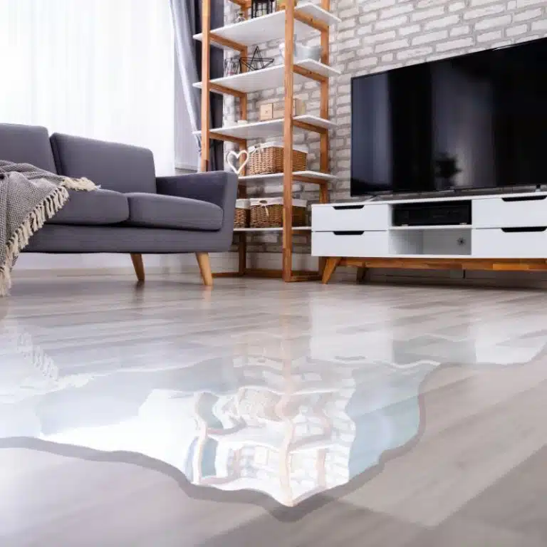 residential flood damage restoration