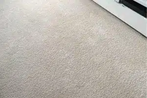 squeaky after carpet clean in mornington peninsula