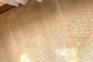 squeaky after carpet cleaning carrum