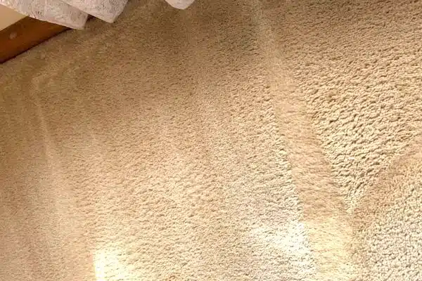 squeaky after carpet cleaning carrum