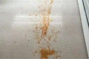 squeaky before carpet clean in mornington peninsula