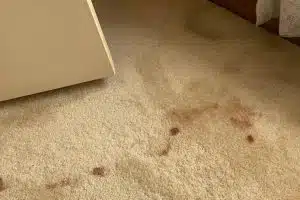 squeaky before carpet cleaning carrum