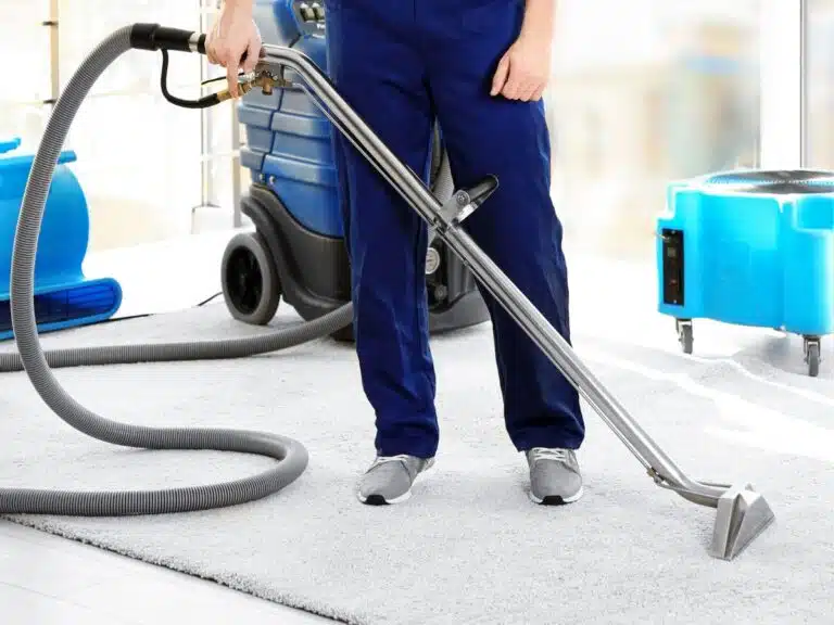 carpet cleaning belgrave