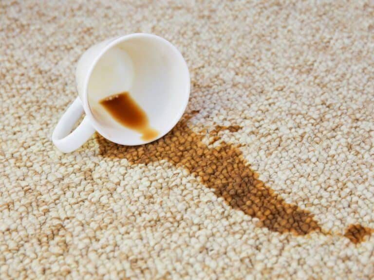carpet cleaning elsternwick