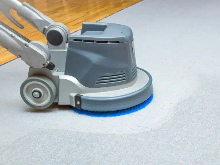carpet cleaning eltham