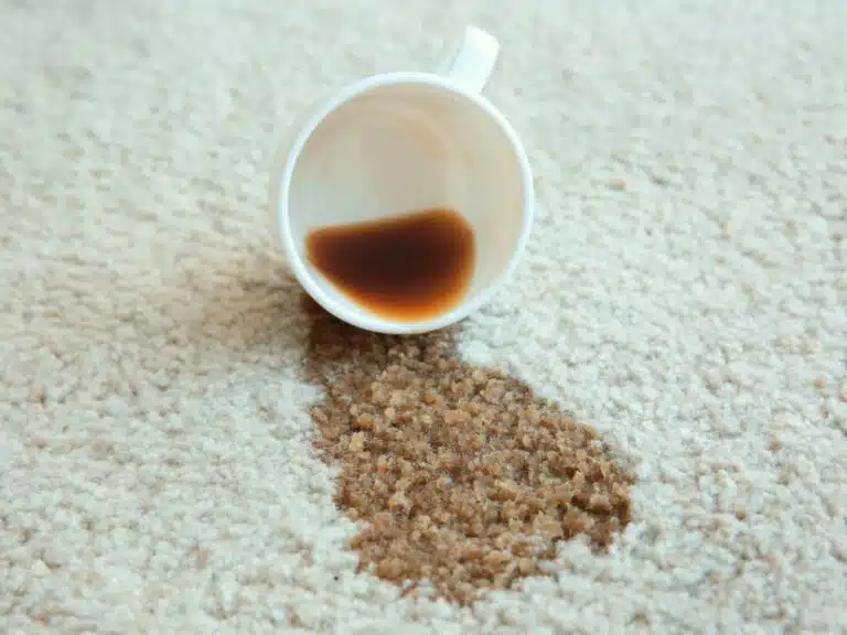carpet cleaning greensborough
