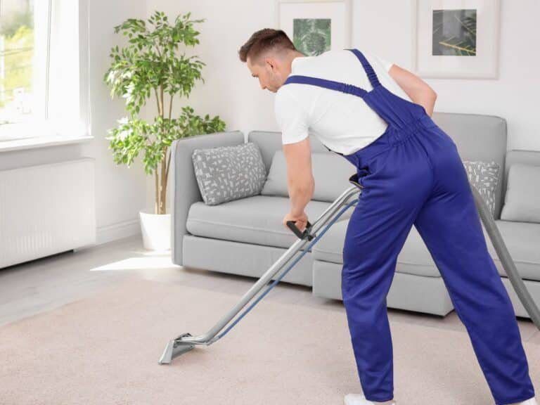 carpet cleaning malvern east