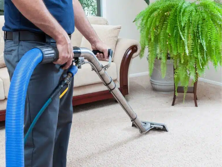 carpet cleaning south eastern suburbs