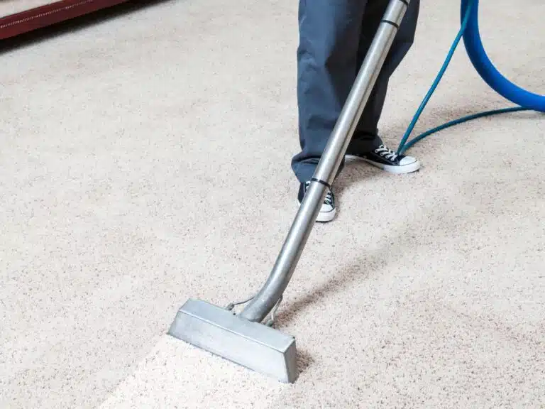 carpet cleaning south yarra
