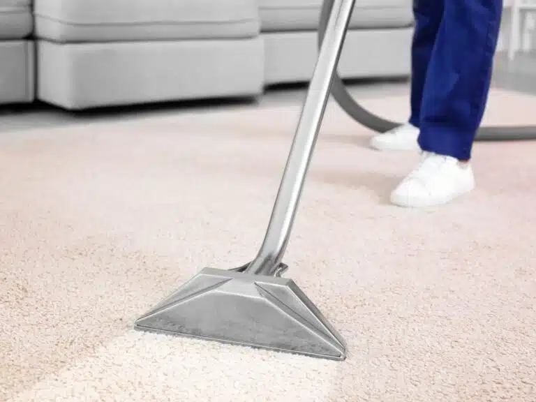 carpet cleaning st kilda east