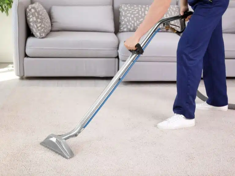 carpet cleaning wantirna