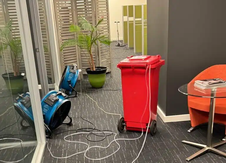 emergency carpet cleaning melbourne