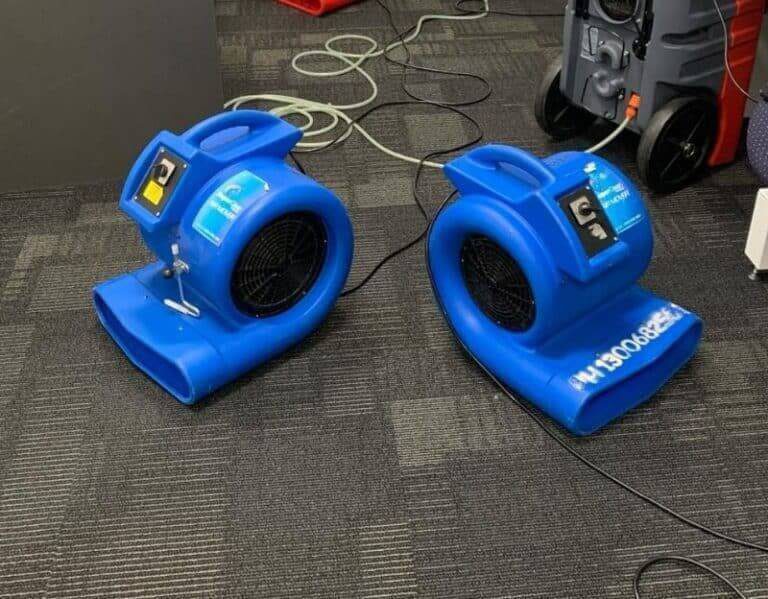 squeaky carpet blower hire melbourne
